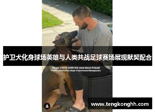 护卫犬化身球场英雄与人类共战足球赛场展现默契配合