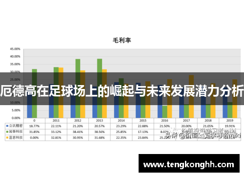 厄德高在足球场上的崛起与未来发展潜力分析
